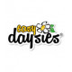 Easy Daysies®